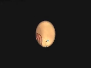 blowjob handjob 02