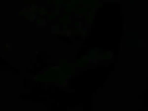 Rina ? An Appreciation Senzuri Blame The Queen